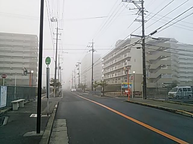 冬至の日の霧