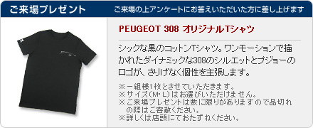 Feel the Peugeot 308 Fair セクション
