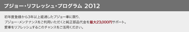 プジョー・メンテナンスキャンペーン2012Q3_セクション3