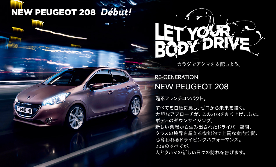 PEUGEOT 208_セクション1old