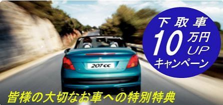 sp_offer_11_1.jpg