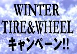 snow7.jpg