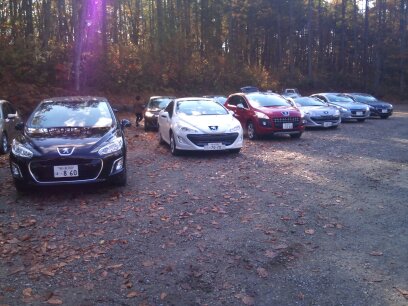 エコロジーな運転 ♪