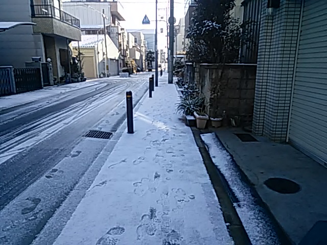 雪～！