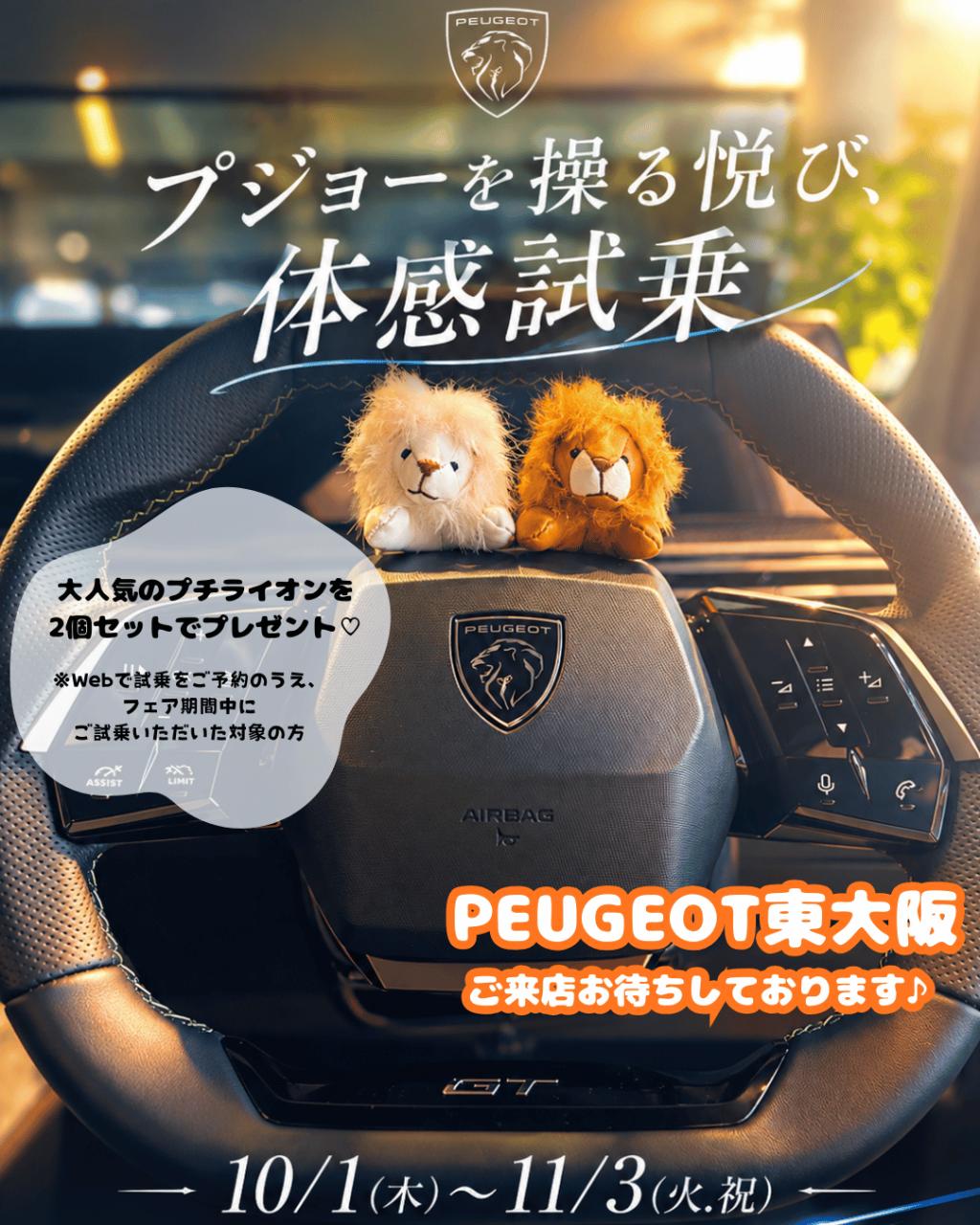🦁体感試乗フェア🦁