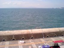 ライオン　フィッシュ