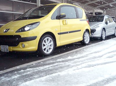 寒いと思ったら…。