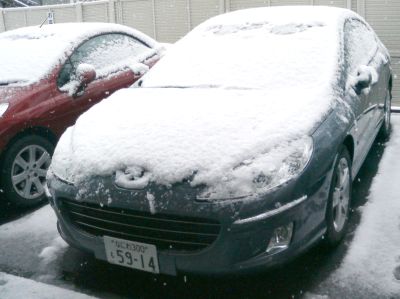 寒いと思ったら…。