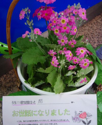 卒業おめでとう！