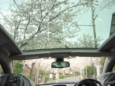 207 SW 試乗車のご案内