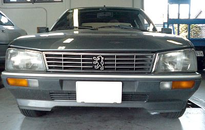 クラシック　ライオン