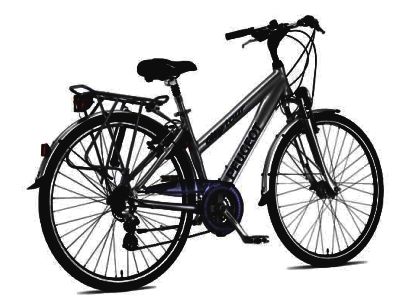 プジョーサイクル 当選 !