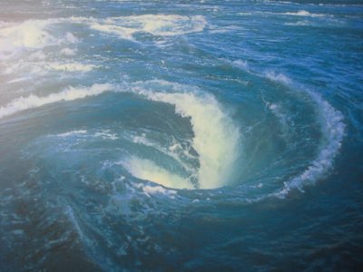 バスツアー（社員旅行）