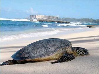 複雑だった最終日☆