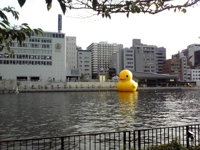 フローティング・ダック