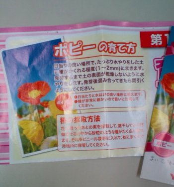 ～flower bed～　新しくなりました