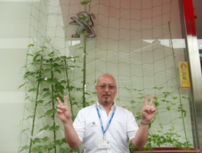 グリーンカーテン　2