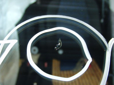 飛び石・・・!!