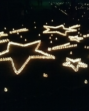 大阪城城灯りの景