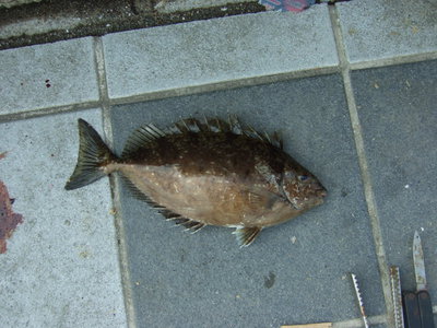 マリーナシティへ…