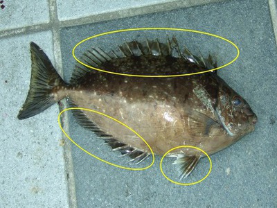 マリーナシティへ…