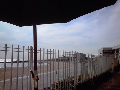 秋といえば・・・これですね ♪