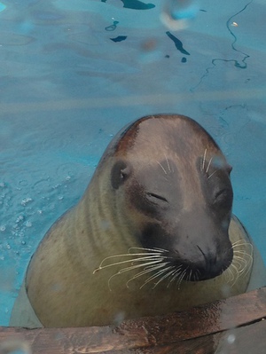 社員旅行　番外編その１