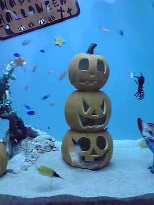 こんな所にも「ハロウィン」が・・・