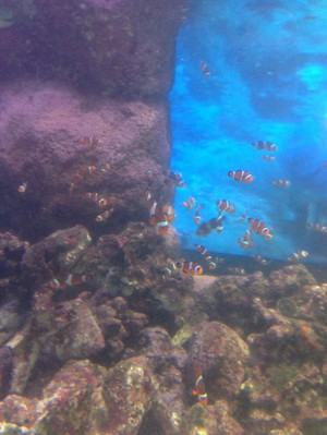 社員旅行　番外編　その2