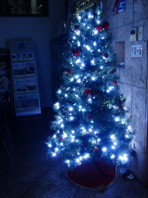 イルミネーション