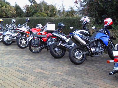 寒い中でも・・・