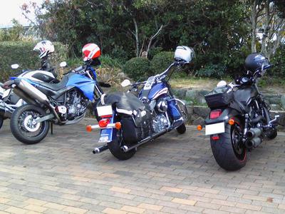 寒い中でも・・・