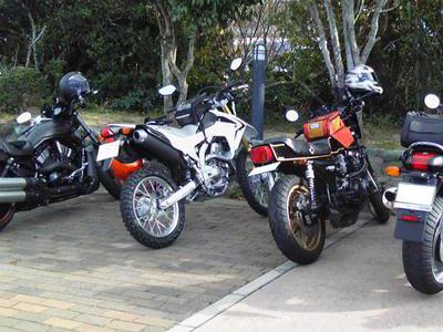 寒い中でも・・・