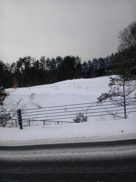 備えあれば･･･