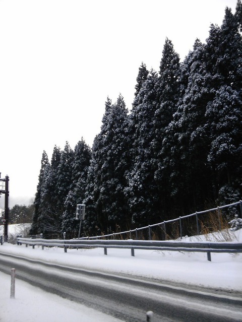 備えあれば･･･