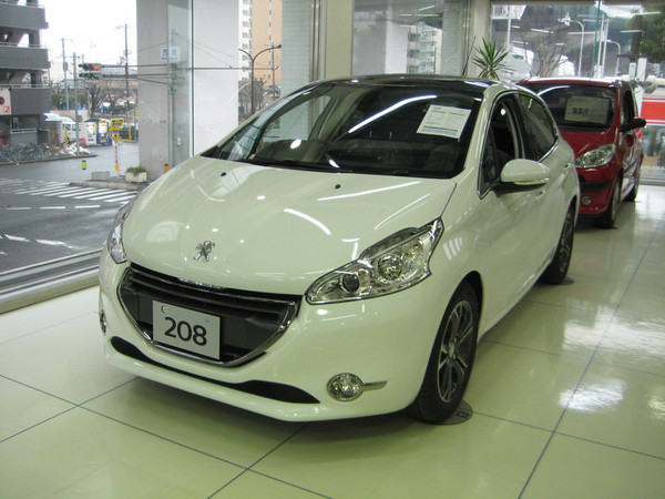 208 Cielo　入荷しました