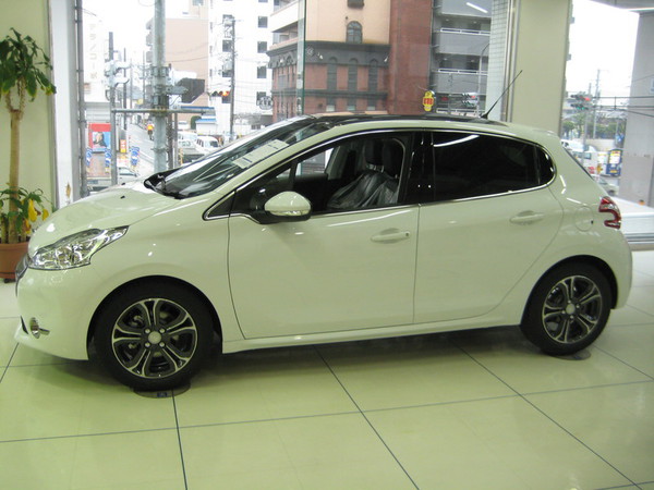 208 Cielo　入荷しました