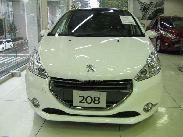 208 Cielo　入荷しました