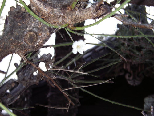 もうすぐ・・・