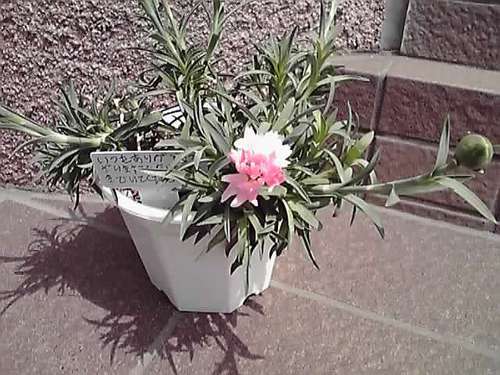 天災は忘れた頃にやってくる