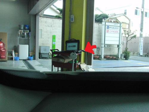 おすすめアクセサリー