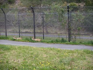 姫路セントラルパーク ①