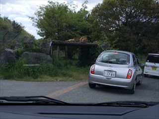 姫路セントラルパーク ①