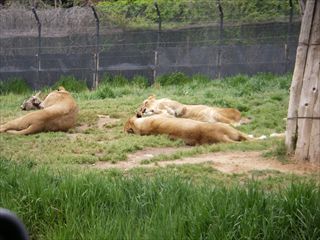 姫路セントラルパーク ①