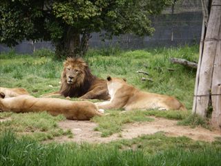 姫路セントラルパーク ①