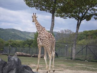 姫路セントラルパーク ①