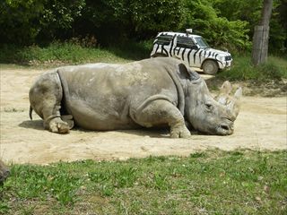 姫路セントラルパーク ①