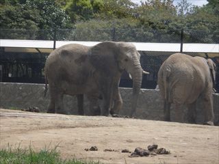 姫路セントラルパーク ①