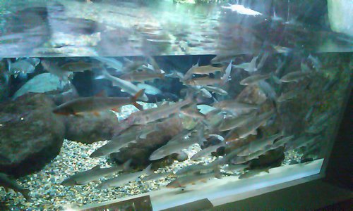 サービスエリアにて