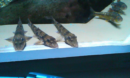 サービスエリアにて